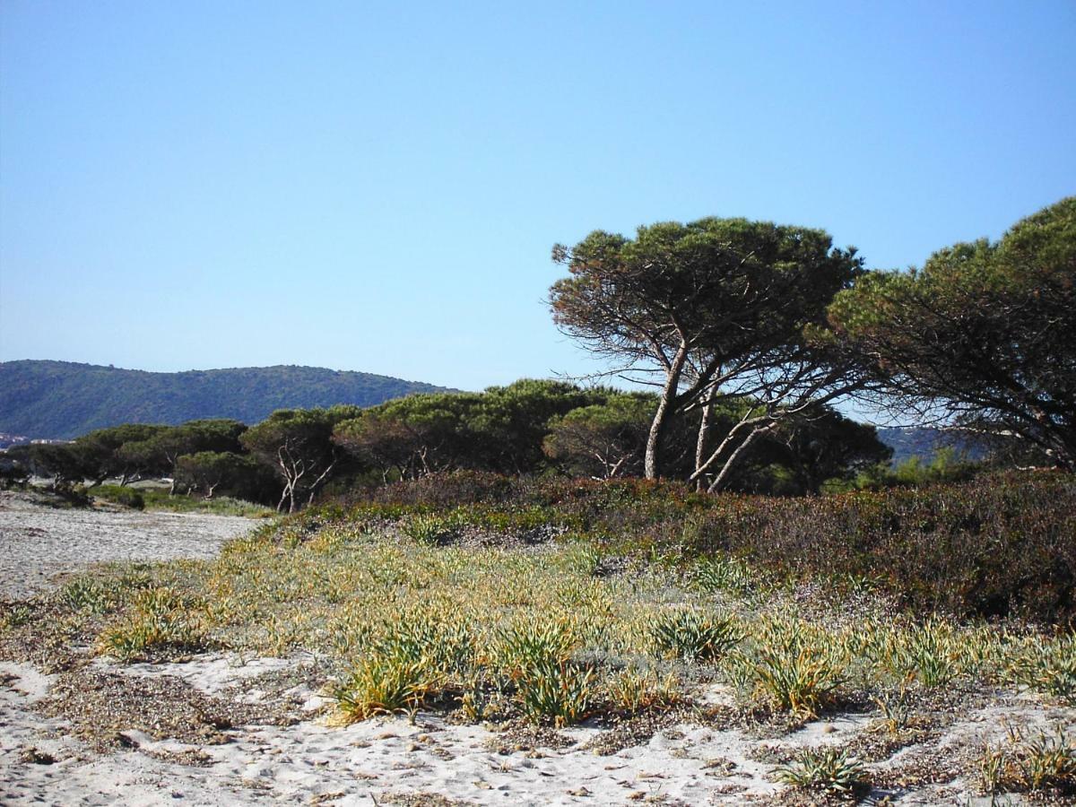 Appartamento La Cuppulata Budoni Esterno foto