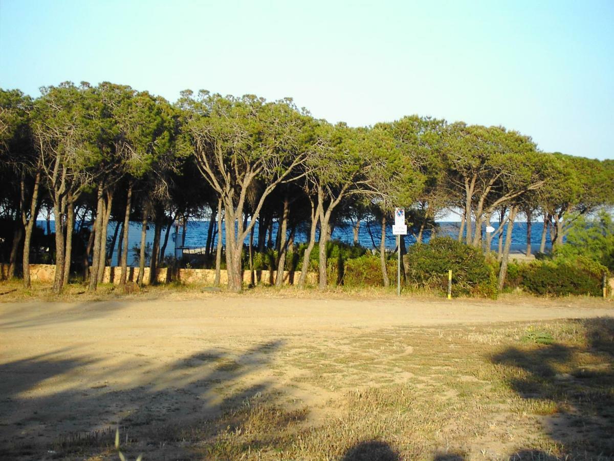 Appartamento La Cuppulata Budoni Esterno foto