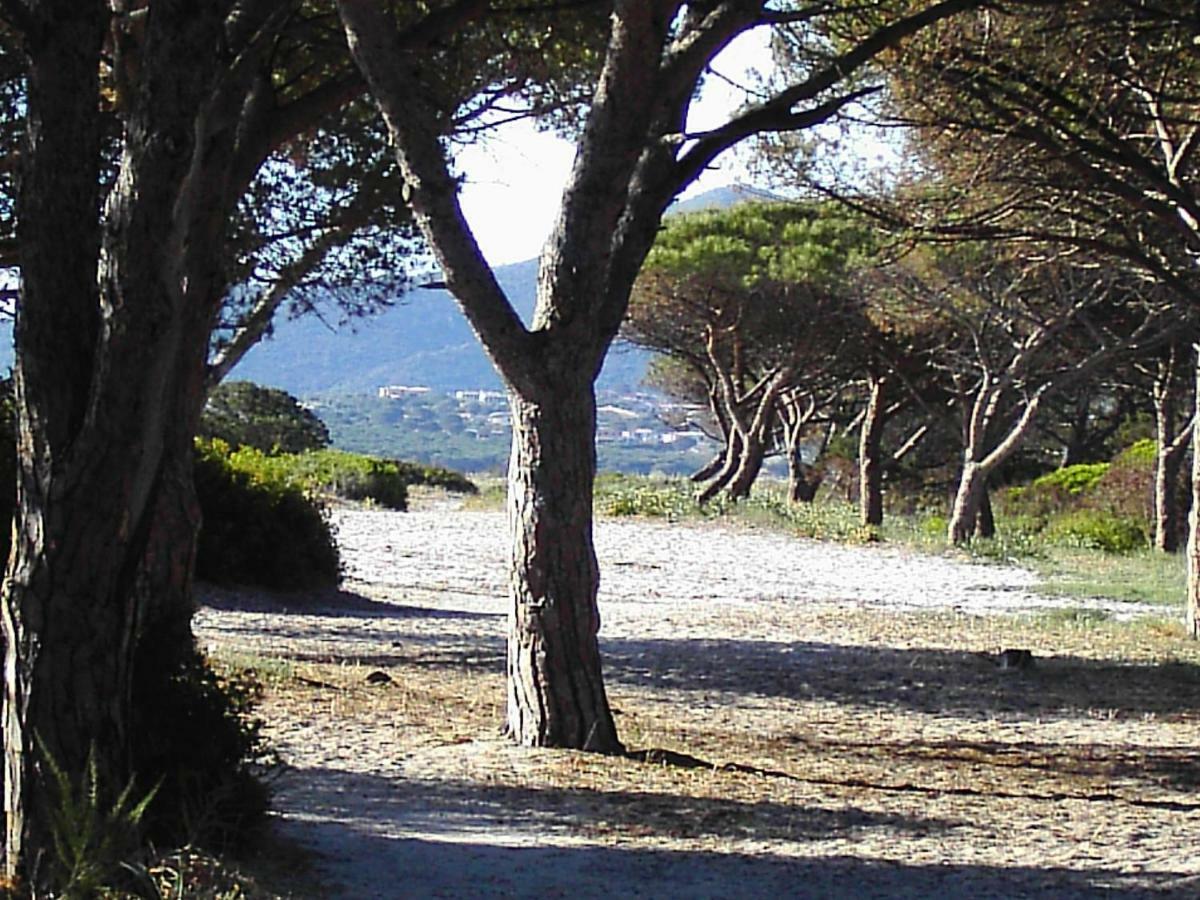 Appartamento La Cuppulata Budoni Esterno foto